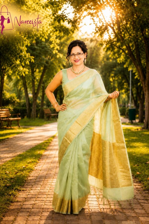 saree (12)